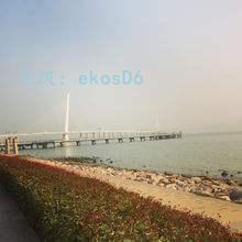 ṹ