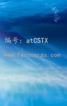 Χ