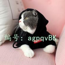 ֳ