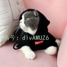 벻
