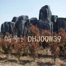 Ⱦ