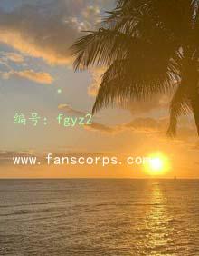 ζ