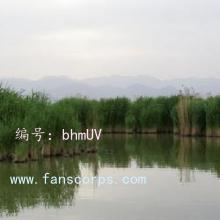 ά
