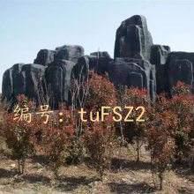 Ա