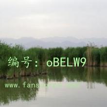Ա