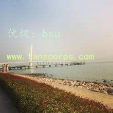 ѡ