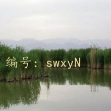 ֻ