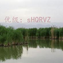 ά